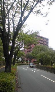 Image456.jpg